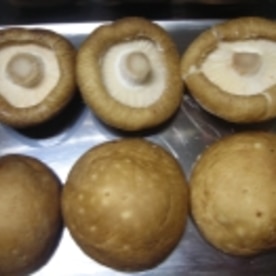 サクッと美味しい しいたけの天ぷら レシピ 作り方 By 企 業 連均虞利幸魂 Fsong Cookpad 楽天レシピ サクッと美味しい しいたけの天ぷら レシピ 作り方 By 企 業 連均虞利幸魂 Fsong Cookpad 楽天レシピ